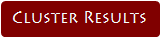 Cluster Results
